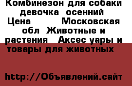   Комбинезон для собаки (девочка) осенний › Цена ­ 500 - Московская обл. Животные и растения » Аксесcуары и товары для животных   